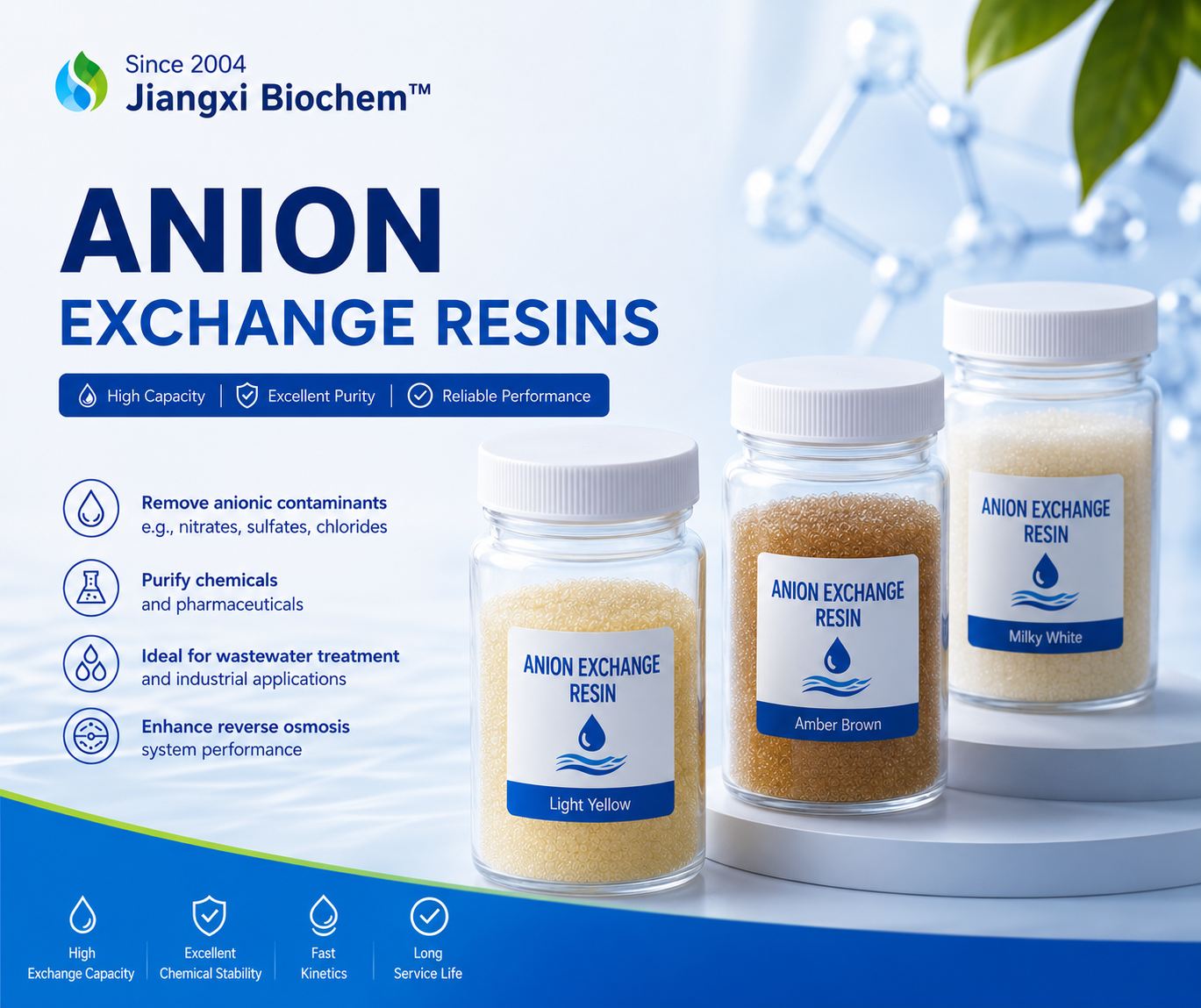 Anion Exchange Resins